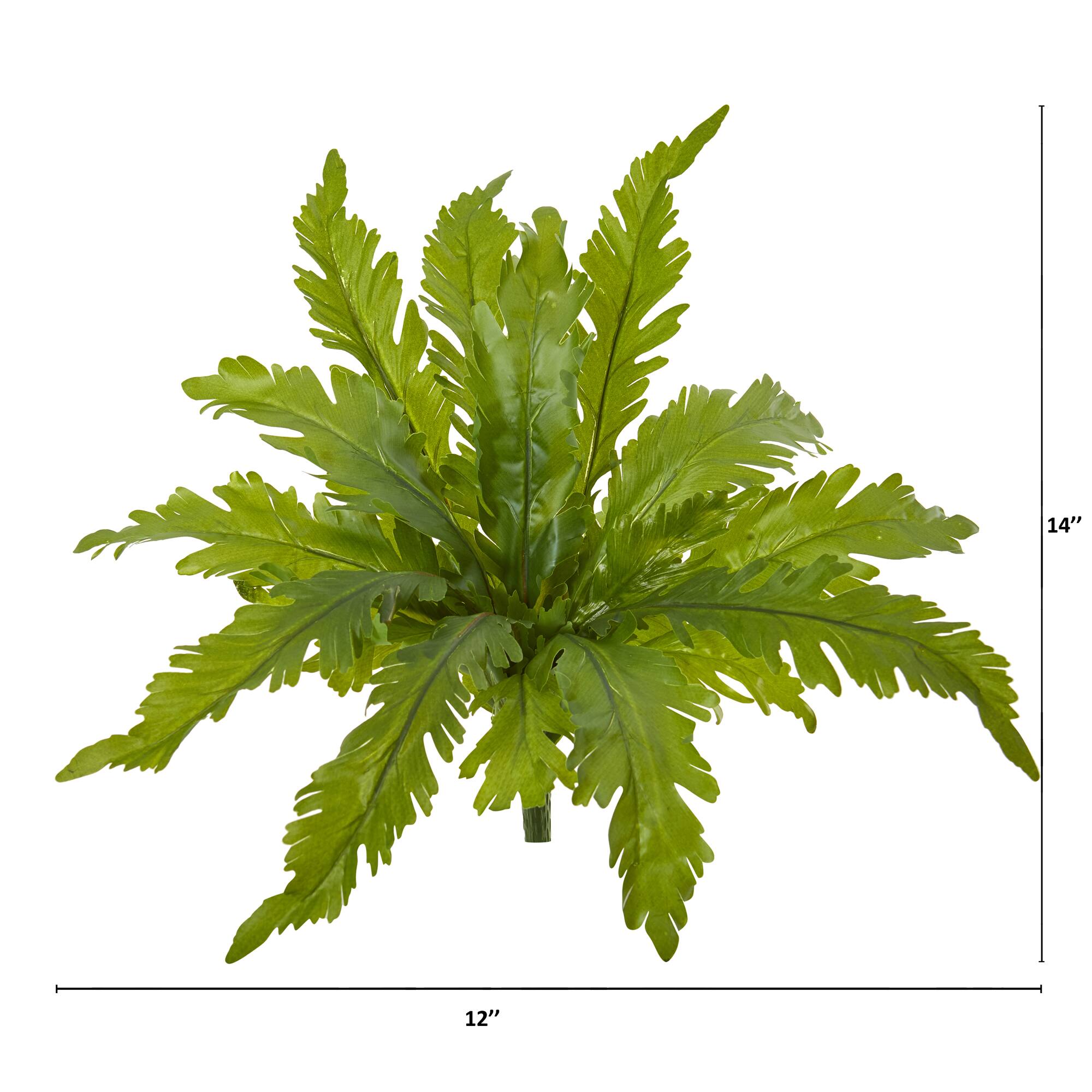 Green Fern Pick, 6ct.